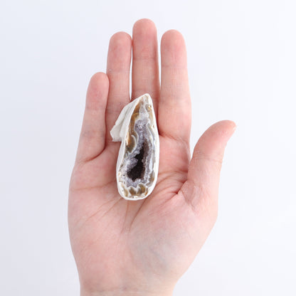 Agate Geodes Flat - Expert Wholesale and Supplier of Wholesale Crystals & Bulk Gemstones, ["Agate","Geodes"]
