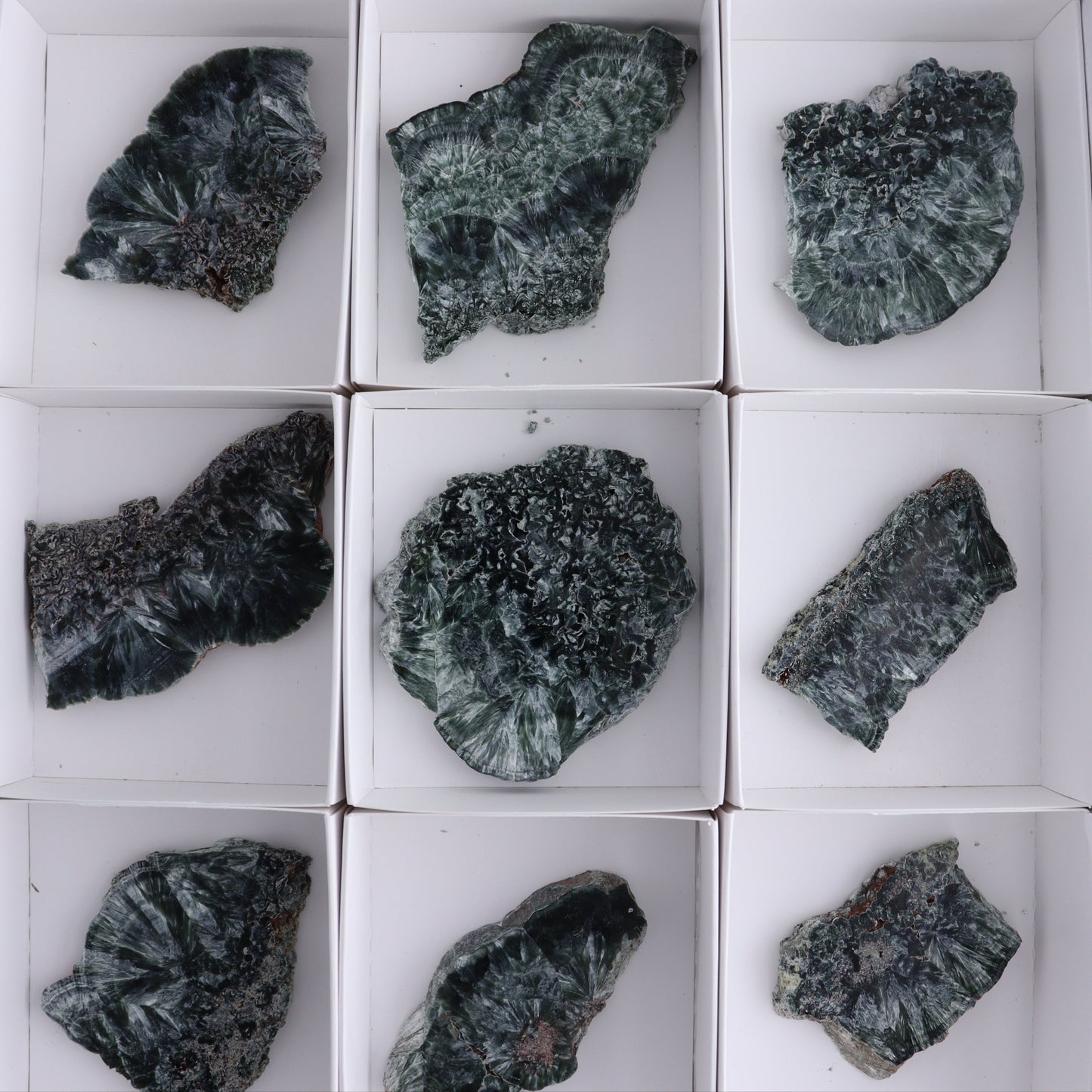 Seraphinite Slices Set of 12 - Expert Wholesale and Supplier of Wholesale Crystals & Bulk Gemstones, ["Seraphinite","Slices and Slabs"]