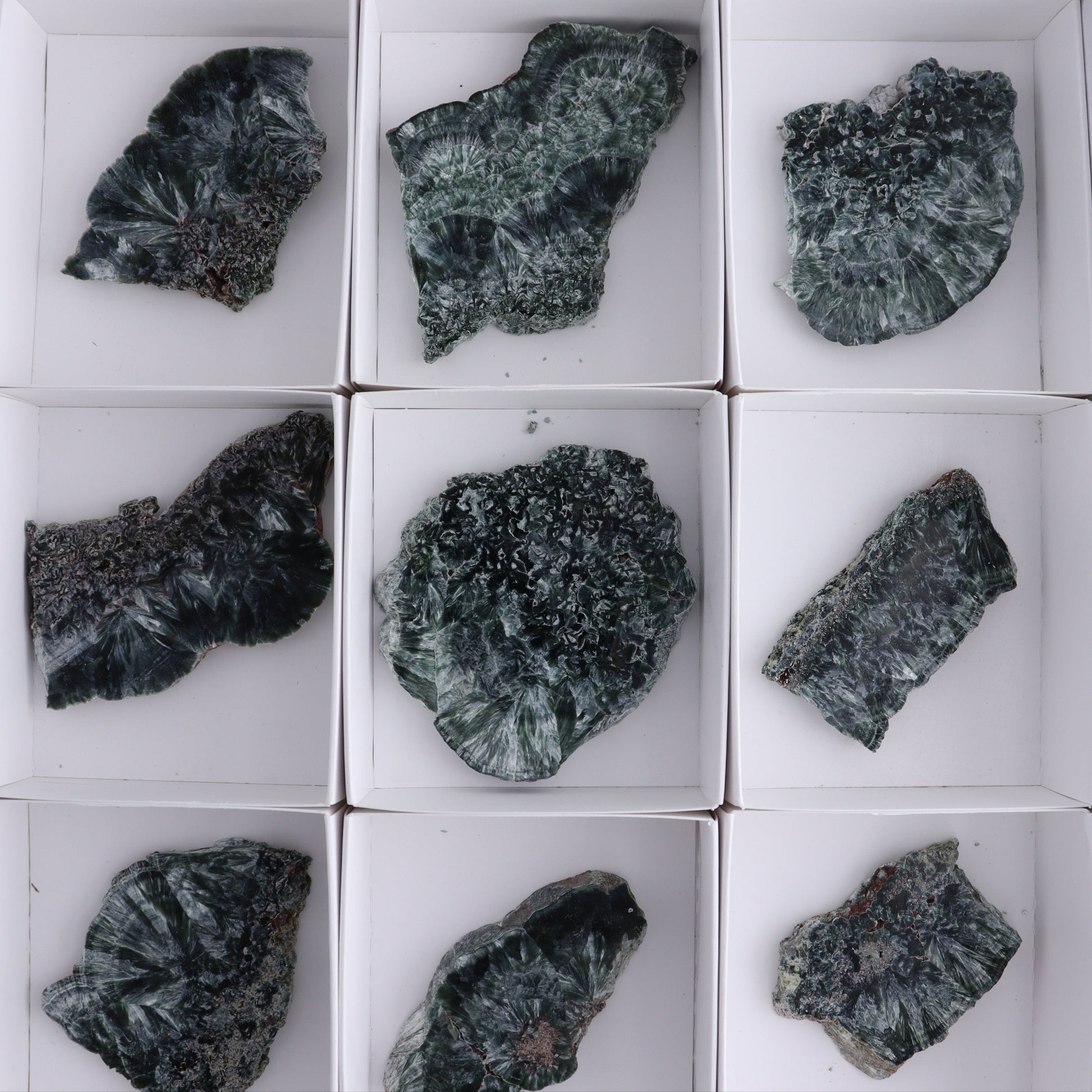 Seraphinite Slices Set of 12 - Expert Wholesale and Supplier of Wholesale Crystals & Bulk Gemstones, ["Seraphinite","Slices and Slabs"]