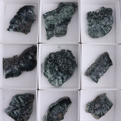 Seraphinite Slices Set of 12 - Expert Wholesale and Supplier of Wholesale Crystals & Bulk Gemstones, ["Seraphinite","Slices and Slabs"]
