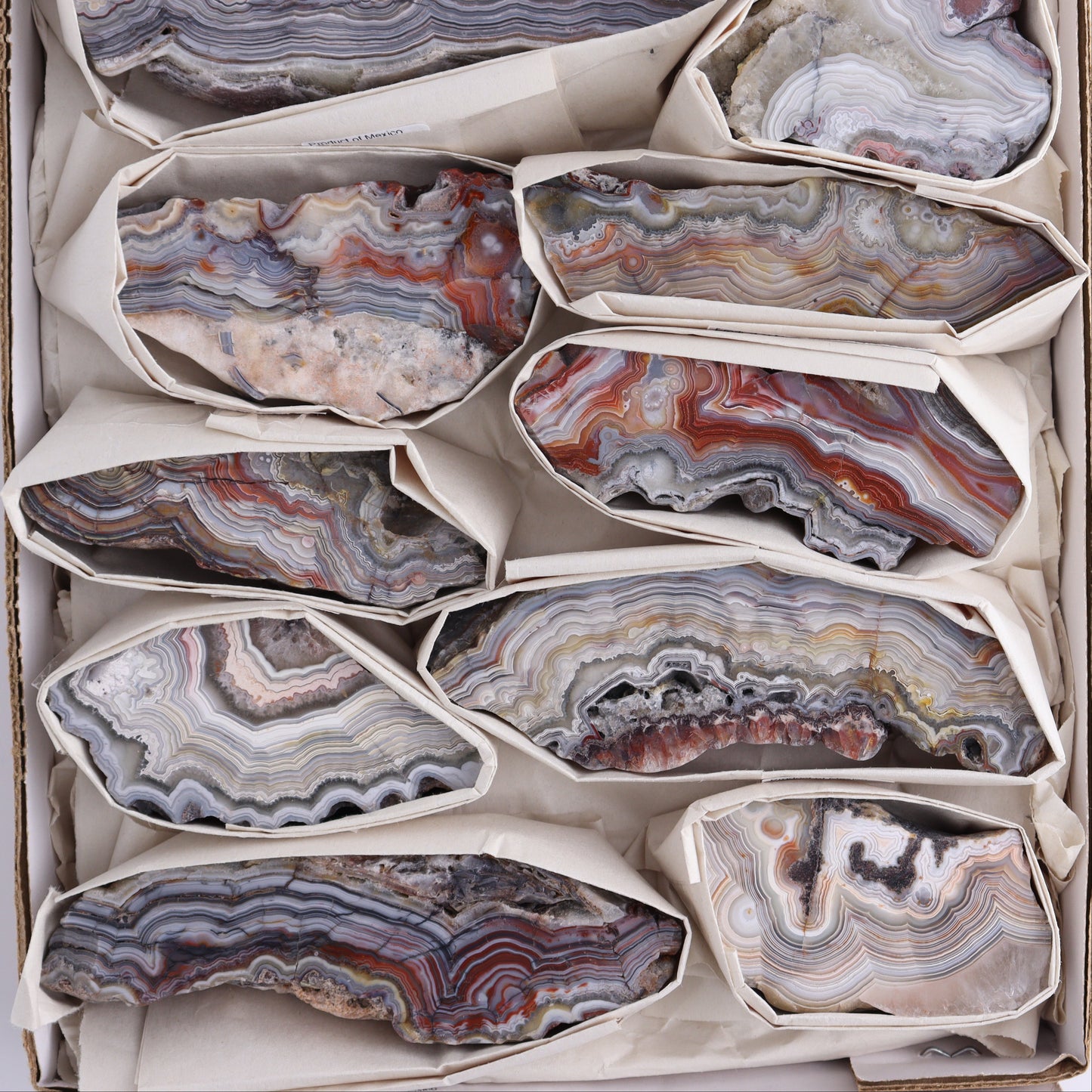 Crazy Lace Agate Flat of 12 - Expert Wholesale and Supplier of Wholesale Crystals & Bulk Gemstones, ["Crazy Lace Agate","Mexico"]