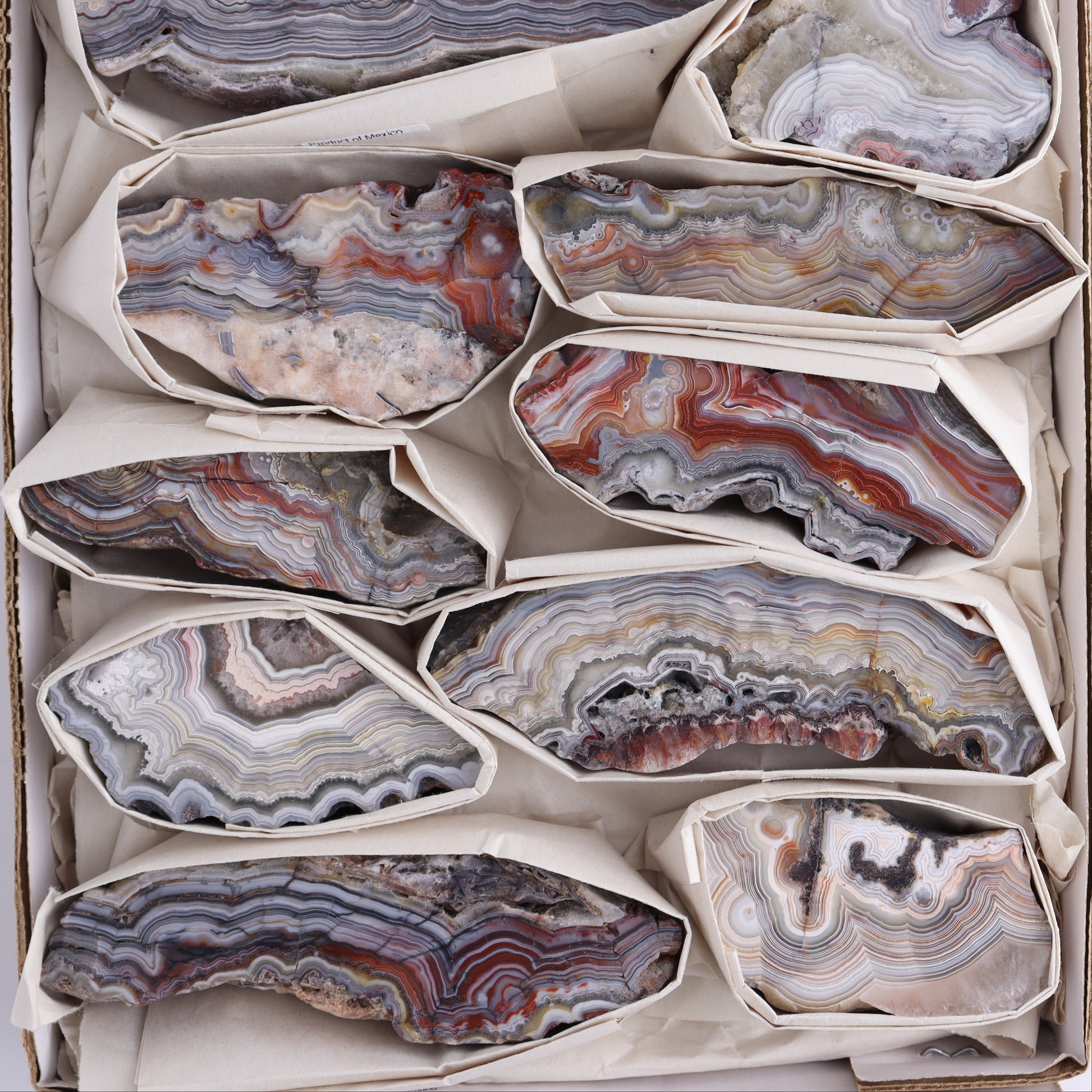 Crazy Lace Agate Flat of 12 - Expert Wholesale and Supplier of Wholesale Crystals & Bulk Gemstones, ["Crazy Lace Agate","Mexico"]