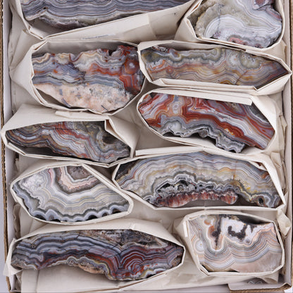 Crazy Lace Agate Flat of 12 - Expert Wholesale and Supplier of Wholesale Crystals & Bulk Gemstones, ["Crazy Lace Agate","Mexico"]