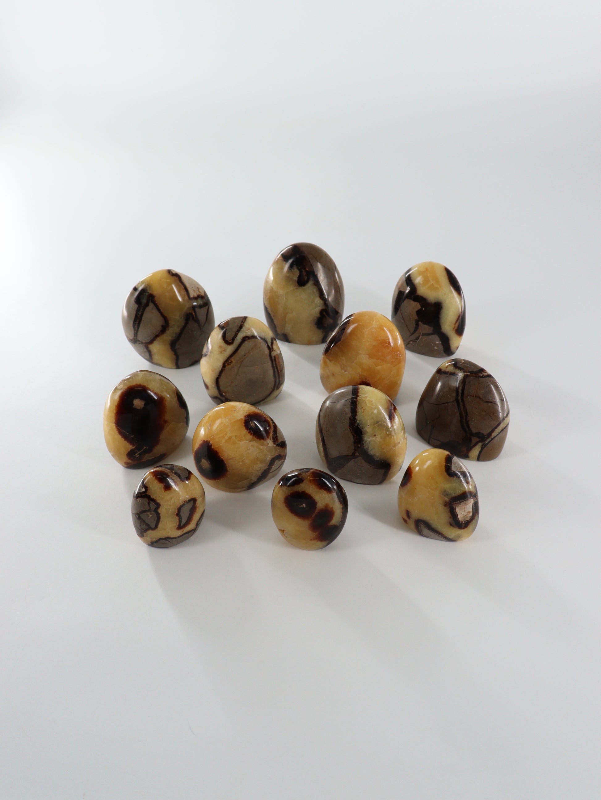 Sepatarian Freeforms Set of 12 - Expert Wholesale and Supplier of Wholesale Crystals & Bulk Gemstones, []