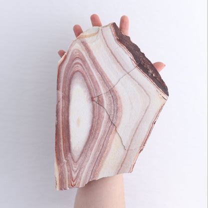 Rhyolite Slabs Set of 2