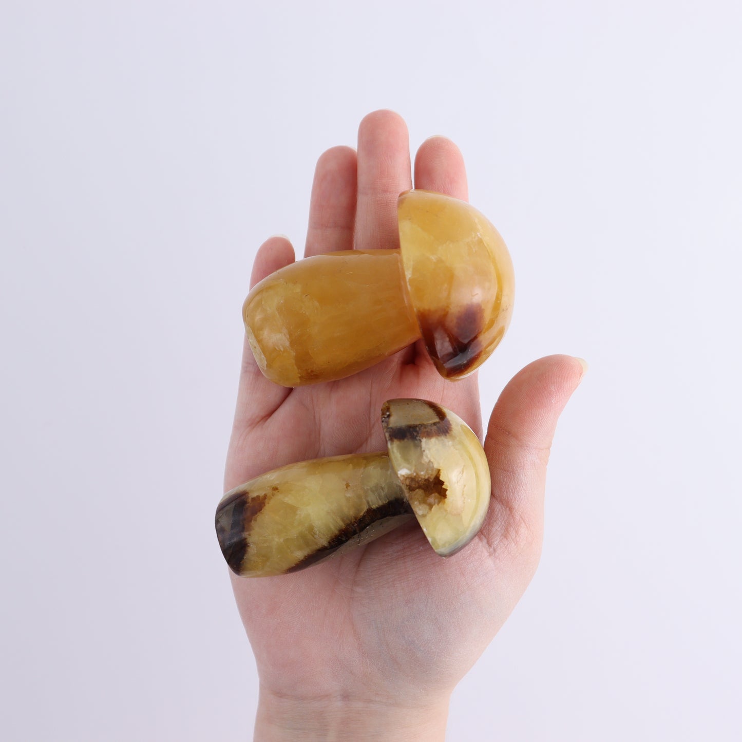 Septarian Mushrooms Set of 13 - Expert Wholesale and Supplier of Wholesale Crystals & Bulk Gemstones, ["Mushrooms","Septarian"]