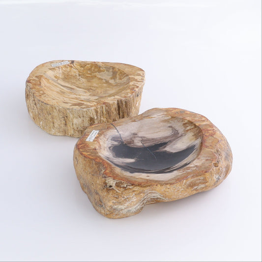 Petrified Wood Bowls Set of 2
