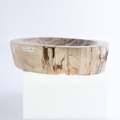 One Petrified Wood Black & Beige Polished Bowl