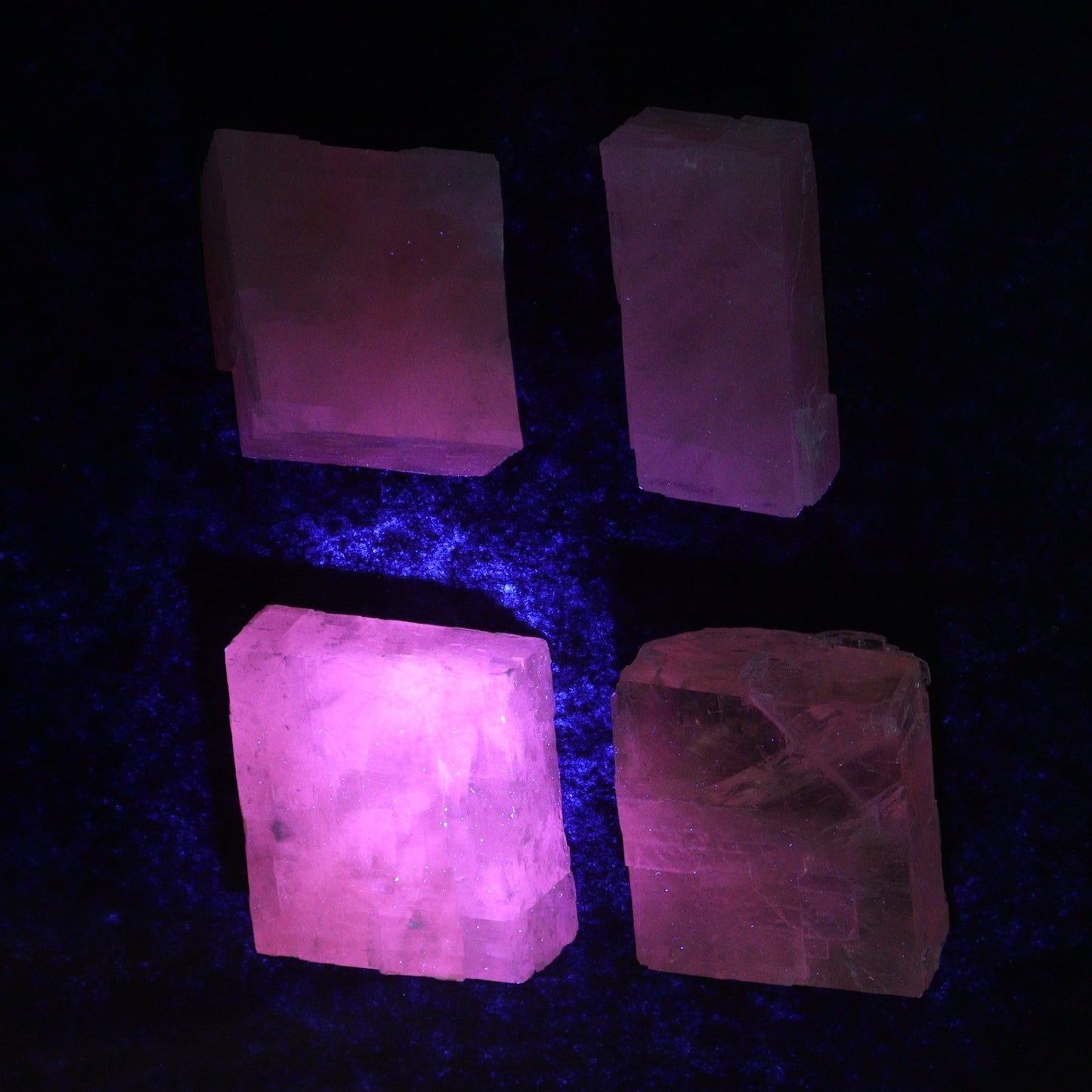 Pink Optical Calcite (Fluorescent) Set of 24 - Expert Wholesale and Supplier of Wholesale Crystals & Bulk Gemstones, ["Calcite","Mexico","Optical Calcite"]