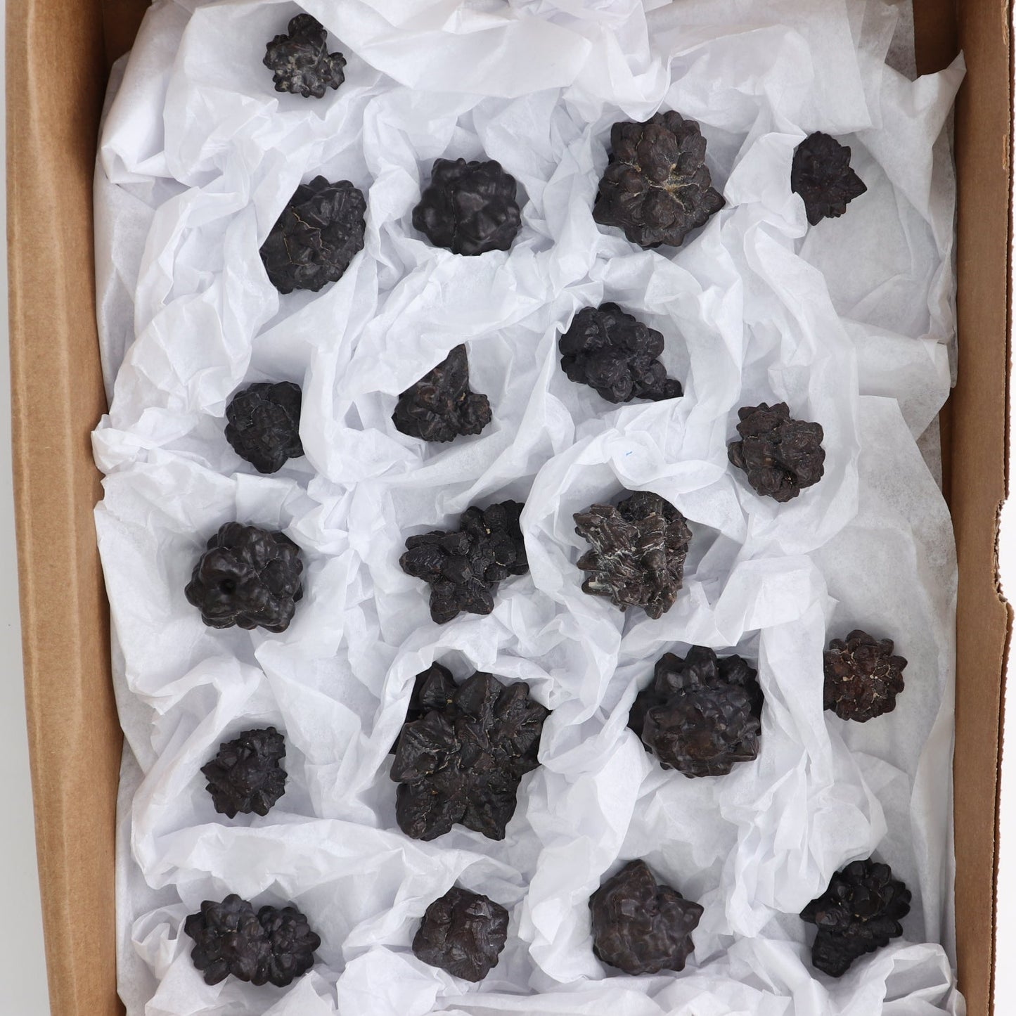Egyptian Prophecy Stones Flat of 20