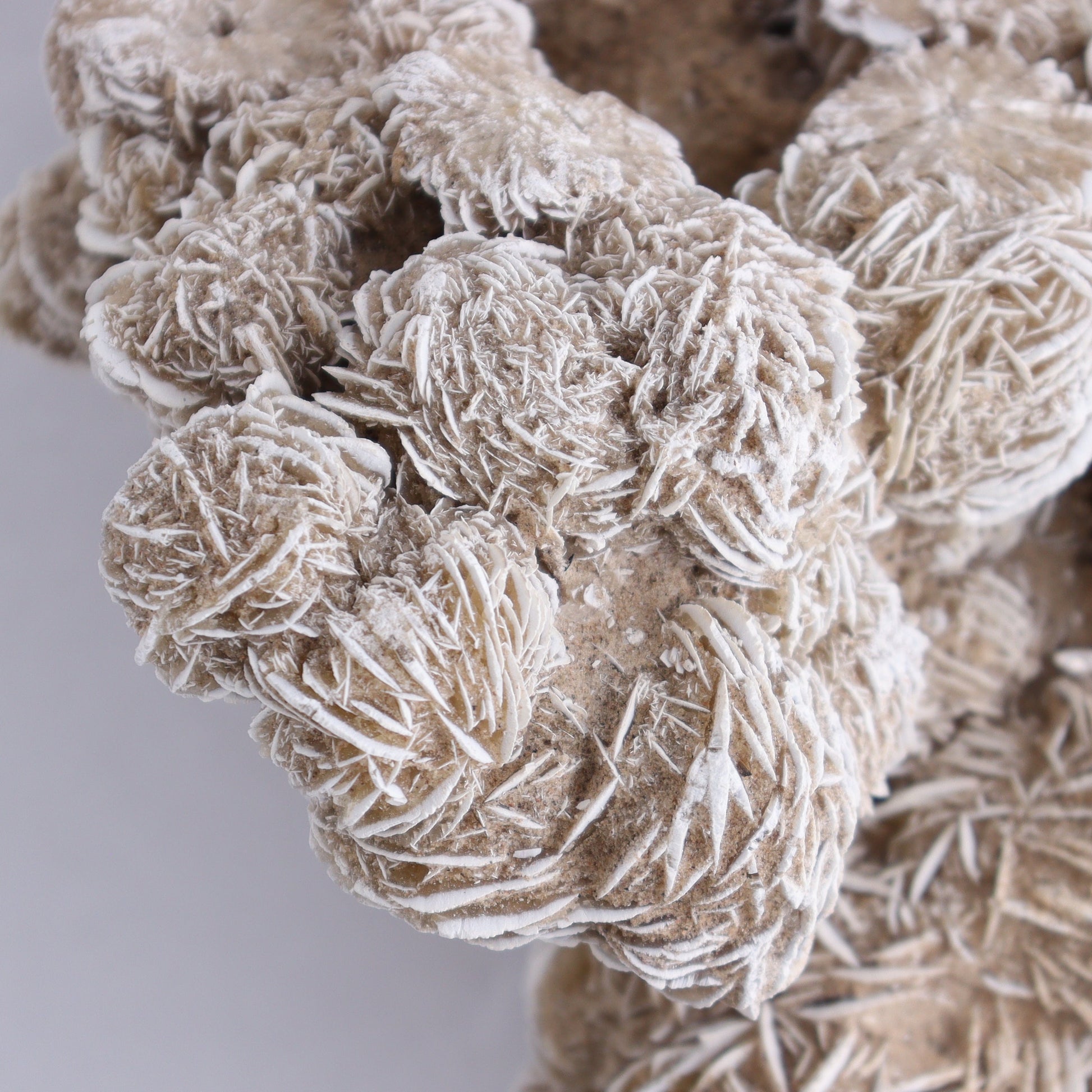Desert Rose Cluster - Expert Wholesale and Supplier of Wholesale Crystals & Bulk Gemstones, ["Desert Rose","Freeforms"]