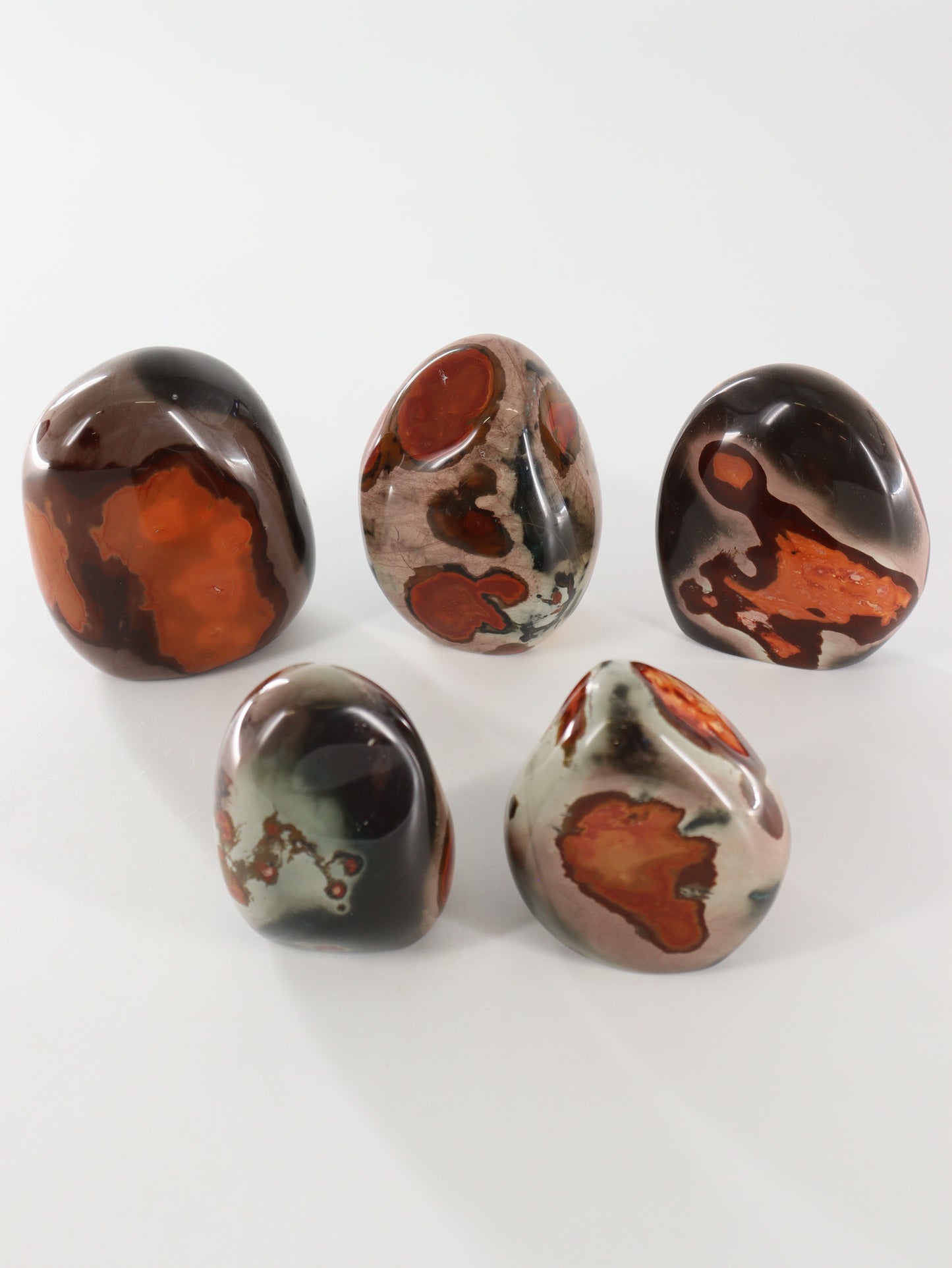 Polychrome Jasper Freeforms Set of 5 - Expert Wholesale and Supplier of Wholesale Crystals & Bulk Gemstones, []