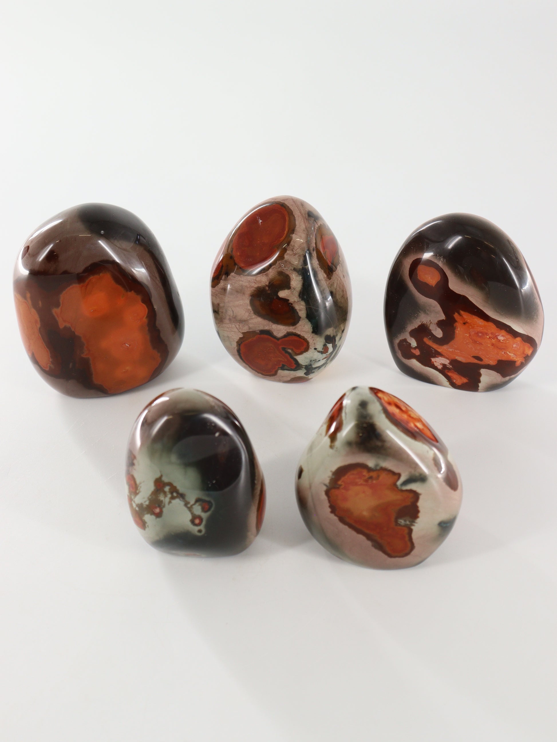 Polychrome Jasper Freeforms Set of 5 - Expert Wholesale and Supplier of Wholesale Crystals & Bulk Gemstones, []
