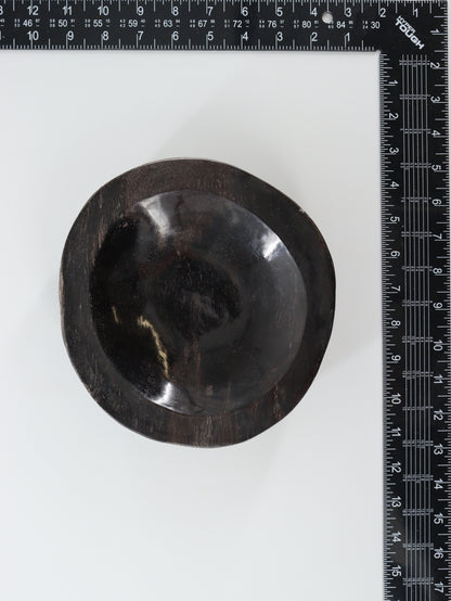 Petrified Wood Bowl - Expert Wholesale and Supplier of Wholesale Crystals & Bulk Gemstones, []