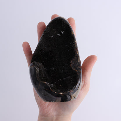 Septarian Cut Bases Set of 4 - Expert Wholesale and Supplier of Wholesale Crystals & Bulk Gemstones, ["Cut Base","Septarian"]