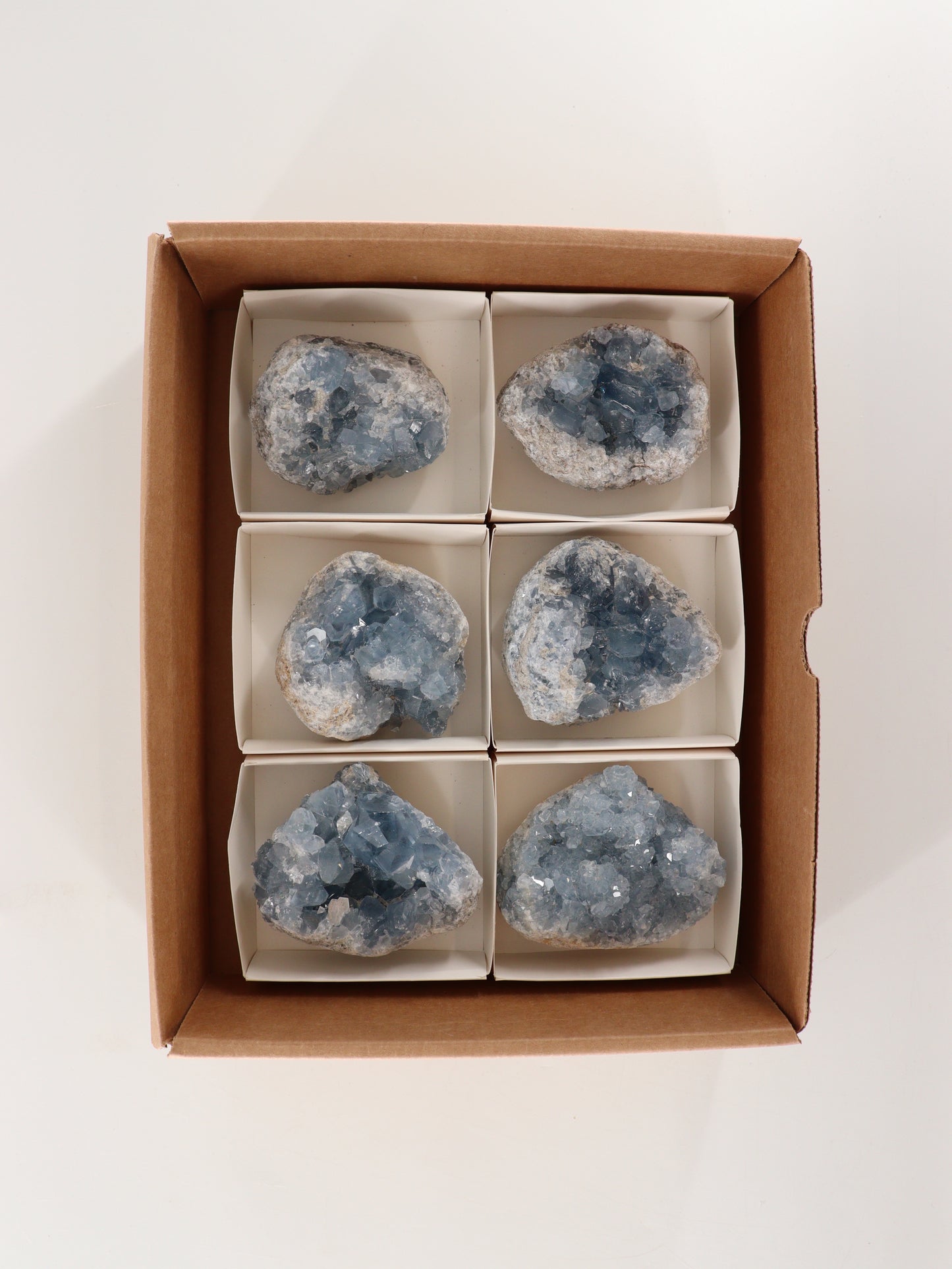 Celestite Clusters Set of 6 - Expert Wholesale and Supplier of Wholesale Crystals & Bulk Gemstones, []
