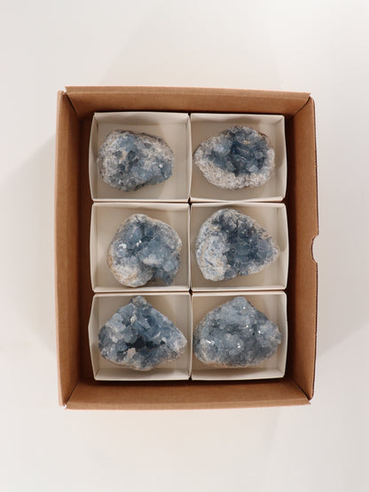 Celestite Clusters Set of 6 - Expert Wholesale and Supplier of Wholesale Crystals & Bulk Gemstones, []