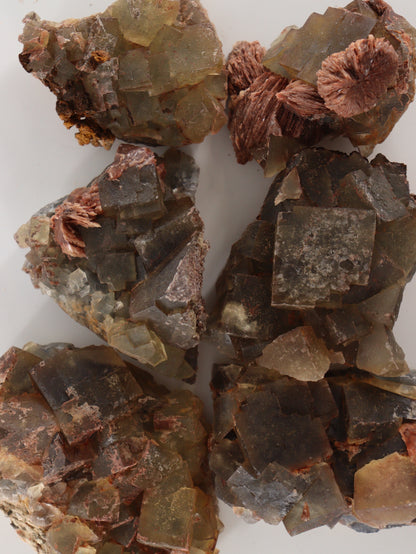 Mixed Moroccan Mineral Flat Set of 6 - Expert Wholesale and Supplier of Wholesale Crystals & Bulk Gemstones, []