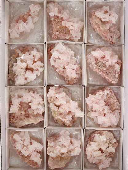 Halite Flat Set of 12 - Expert Wholesale and Supplier of Wholesale Crystals & Bulk Gemstones, []