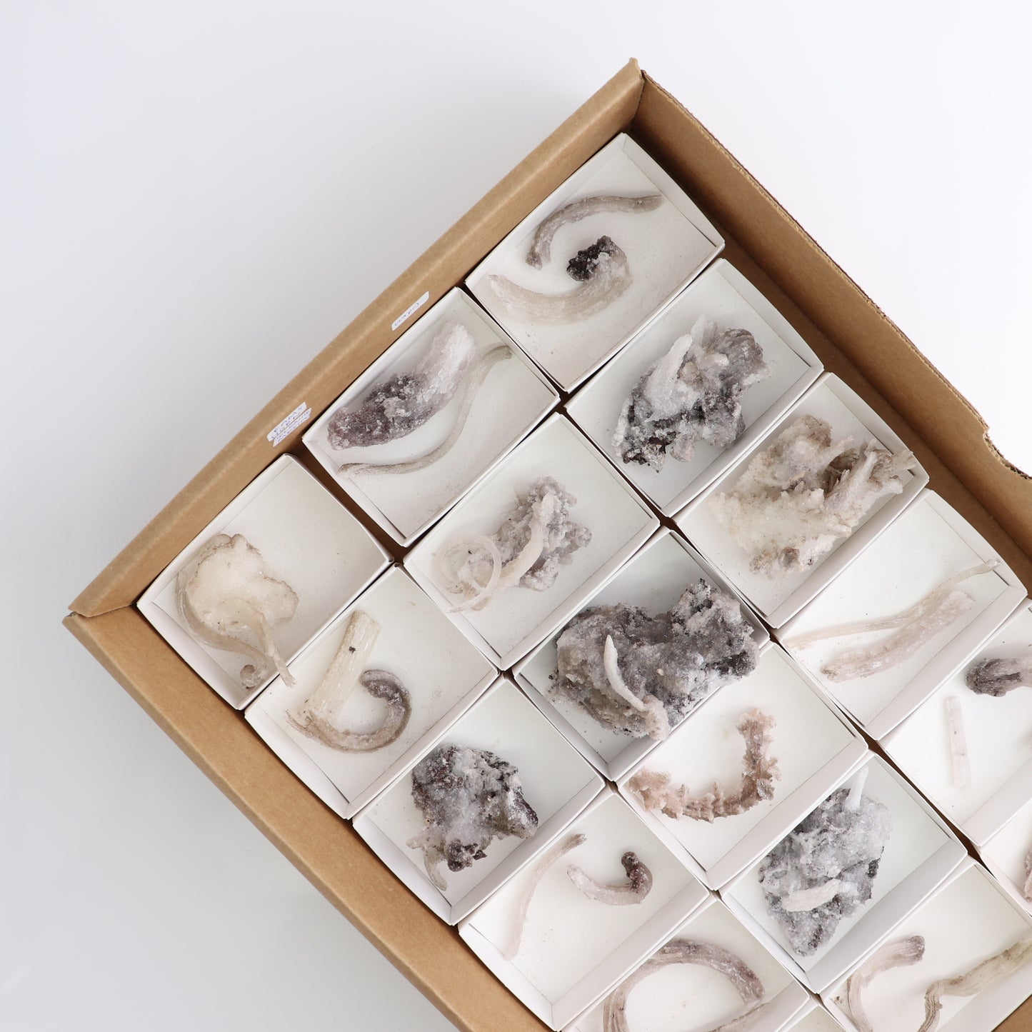 Rams Horn Selenite Flat