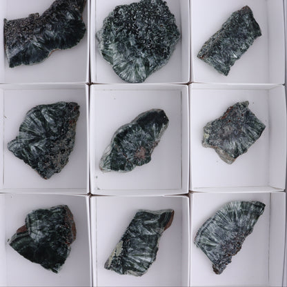 Seraphinite Slices Set of 12 - Expert Wholesale and Supplier of Wholesale Crystals & Bulk Gemstones, ["Seraphinite","Slices and Slabs"]