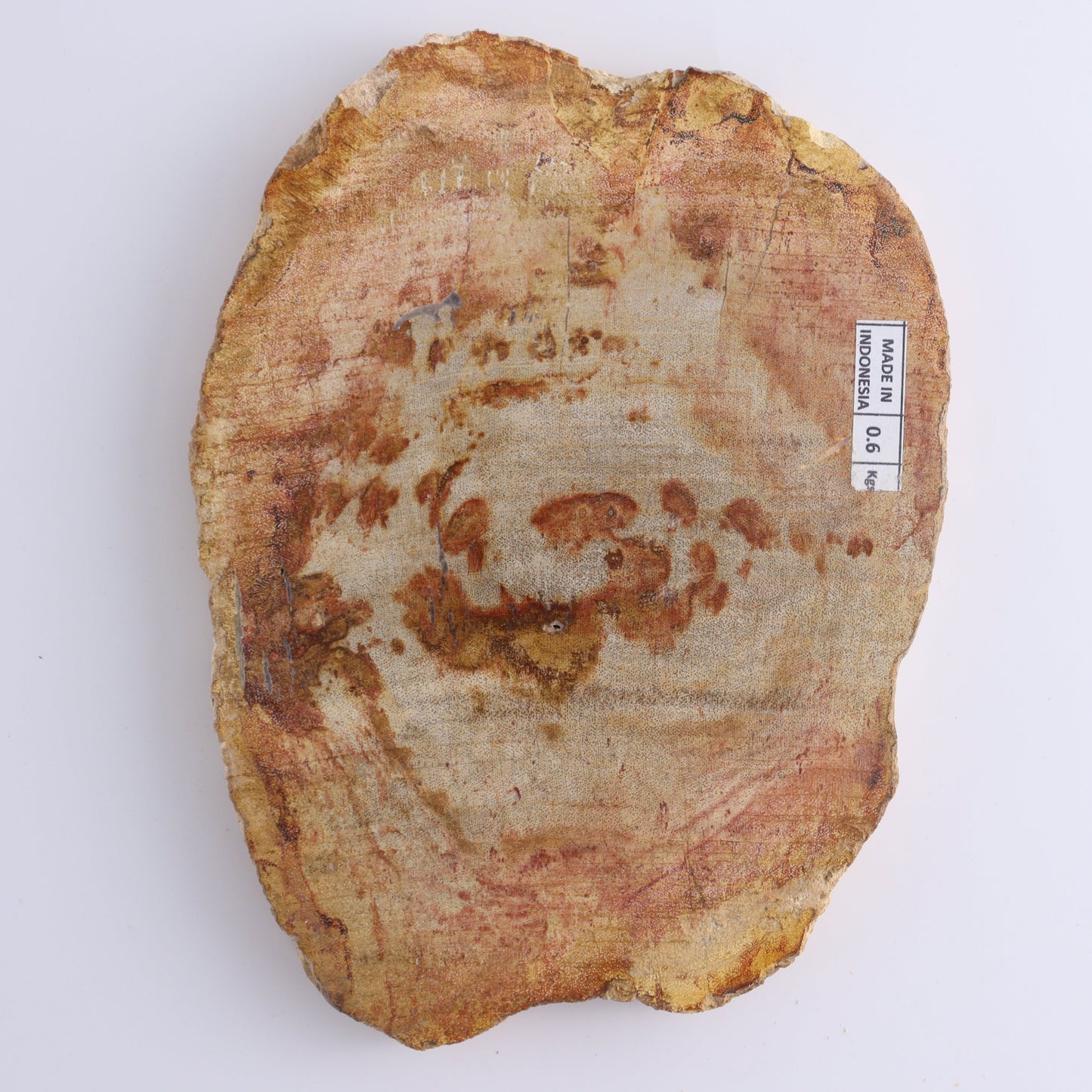 Petrified Wood Slices & Slabs Set of 4 - Expert Wholesale and Supplier of Wholesale Crystals & Bulk Gemstones, ["Freeforms","Indonesia","Petrified Wood","Slices and Slabs"]