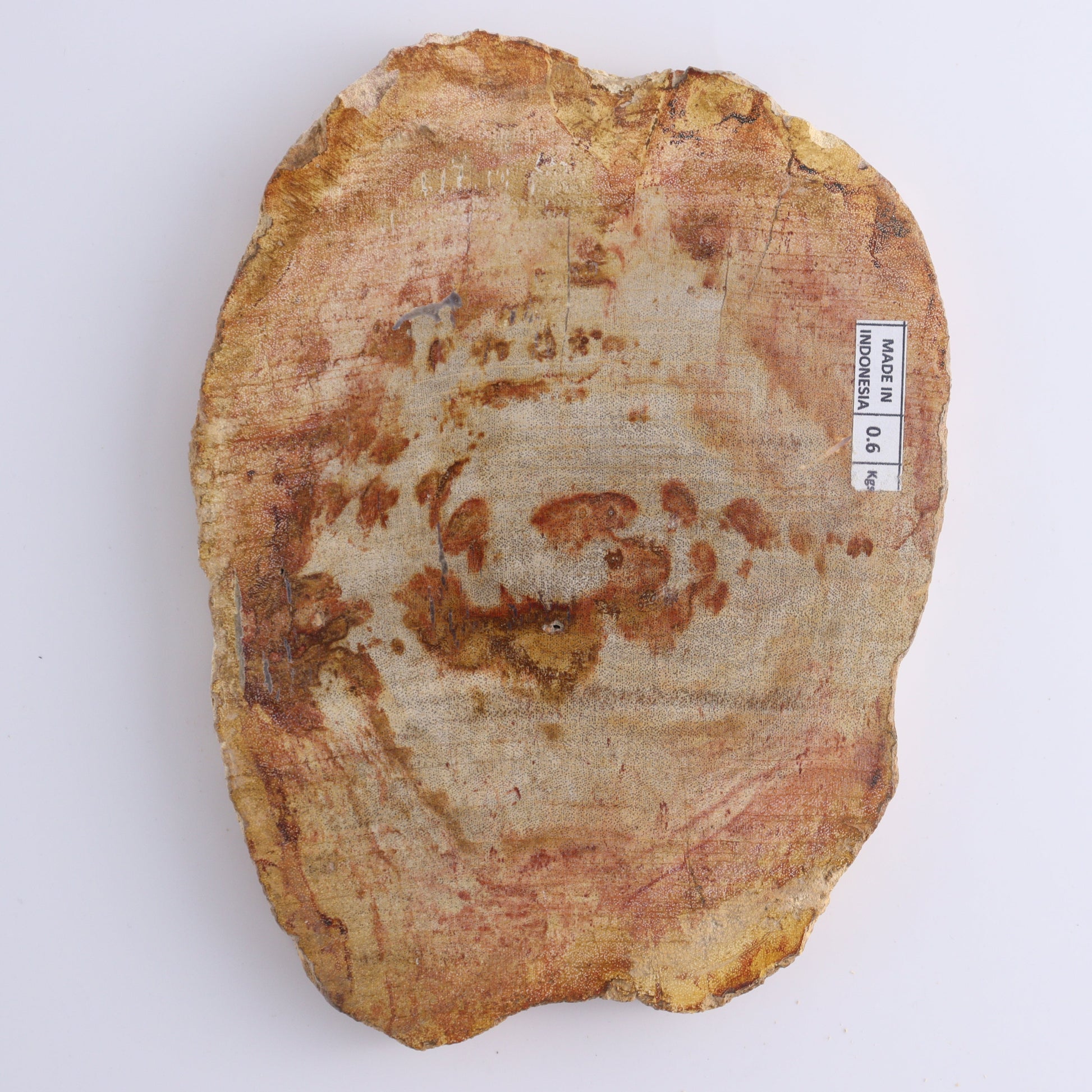 Petrified Wood Slices & Slabs Set of 4 - Expert Wholesale and Supplier of Wholesale Crystals & Bulk Gemstones, ["Freeforms","Indonesia","Petrified Wood","Slices and Slabs"]