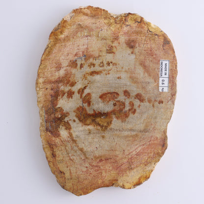 Petrified Wood Slices & Slabs Set of 4 - Expert Wholesale and Supplier of Wholesale Crystals & Bulk Gemstones, ["Freeforms","Indonesia","Petrified Wood","Slices and Slabs"]