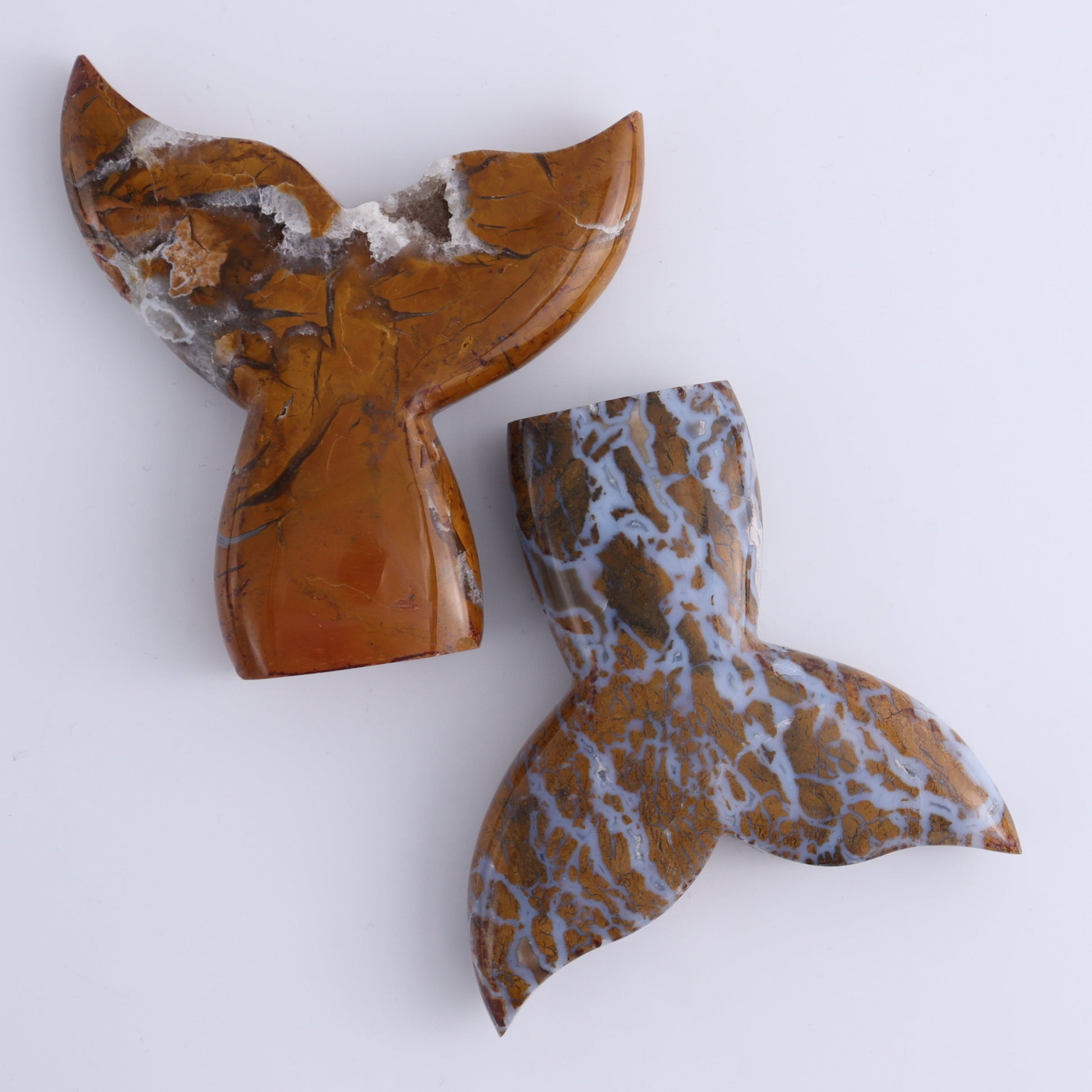 Brecciated Jasper Mermaid Tail Set of 6 - Expert Wholesale and Supplier of Wholesale Crystals & Bulk Gemstones, ["Brecciated Jasper","Indonesia","Mermaid Tail"]