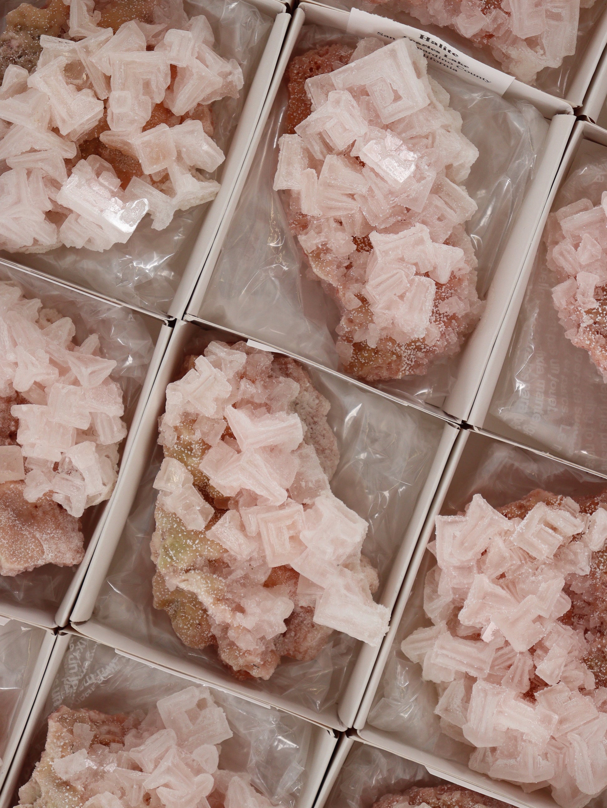 Halite Flat Set of 12 - Expert Wholesale and Supplier of Wholesale Crystals & Bulk Gemstones, []