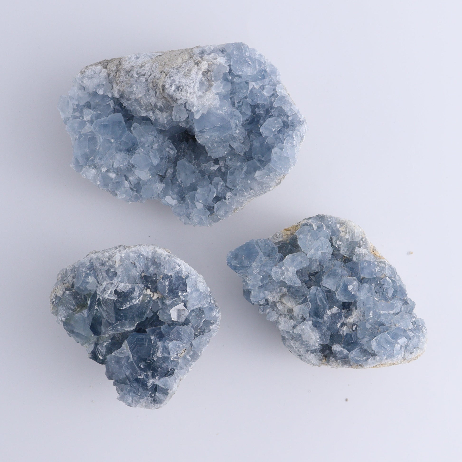 Celestite Clusters Set of 6 - Expert Wholesale and Supplier of Wholesale Crystals & Bulk Gemstones, ["Celestite","Freeform","Madagascar"]