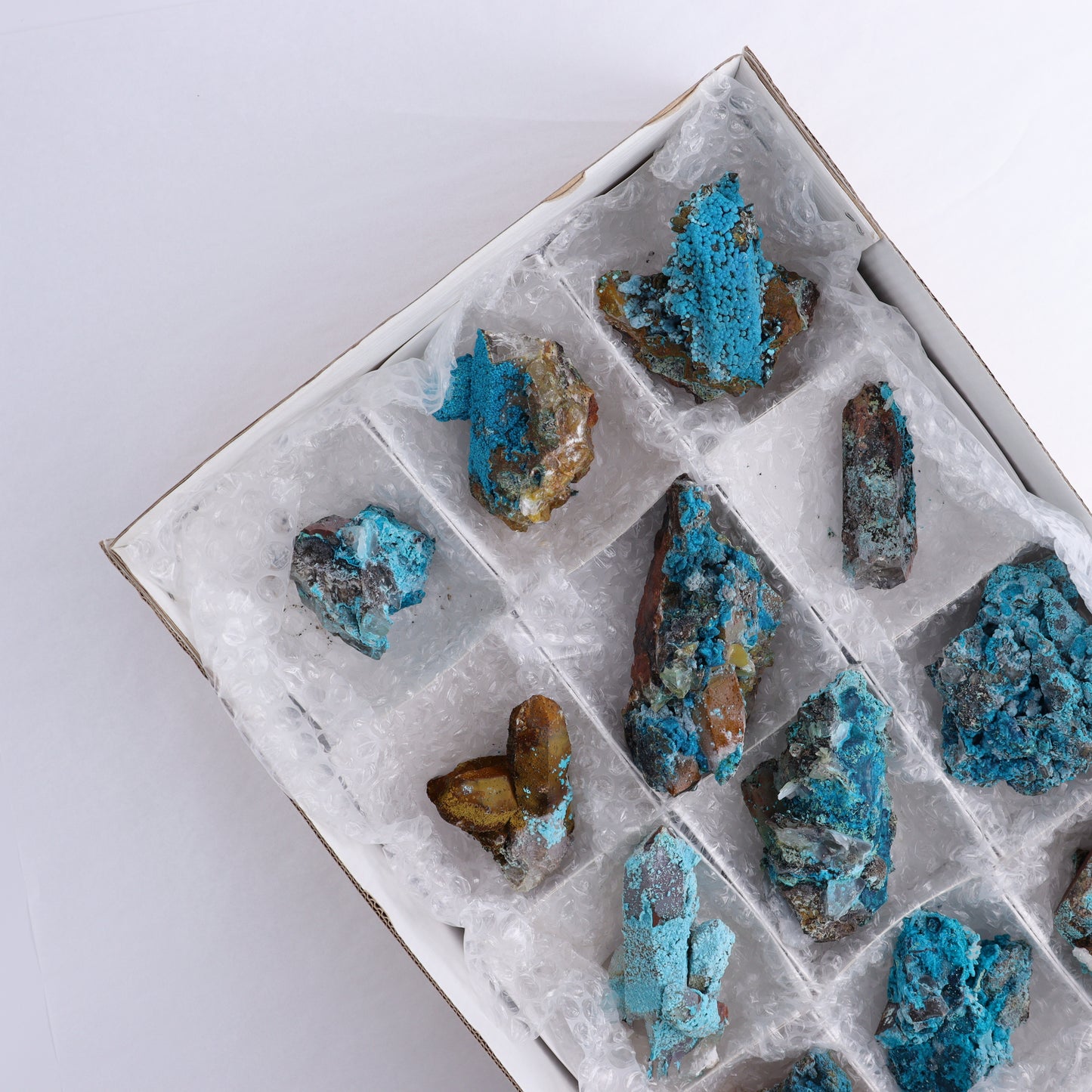 Chrysocolla on Quartz Roughs Set of 12