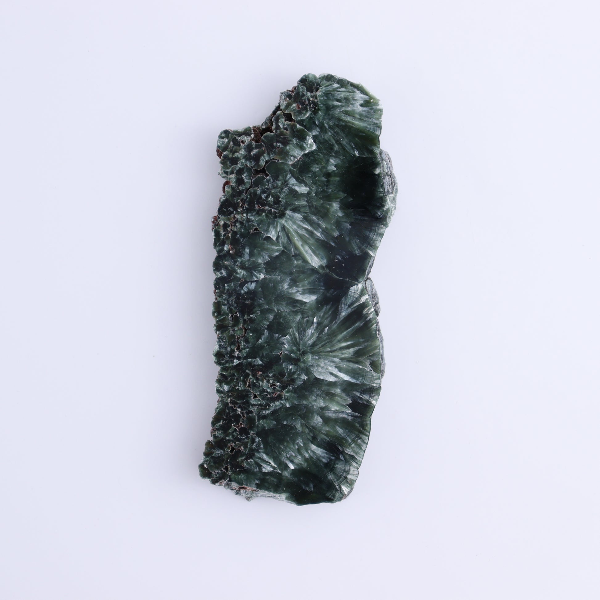 Seraphinite Slices Set of 4 - Expert Wholesale and Supplier of Wholesale Crystals & Bulk Gemstones, ["Russia","Seraphinite","Slices and Slabs"]