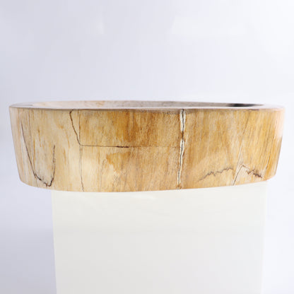 Petrified Wood Bowl - Expert Wholesale and Supplier of Wholesale Crystals & Bulk Gemstones, ["Bowls","Indonesia","Petrified Wood"]