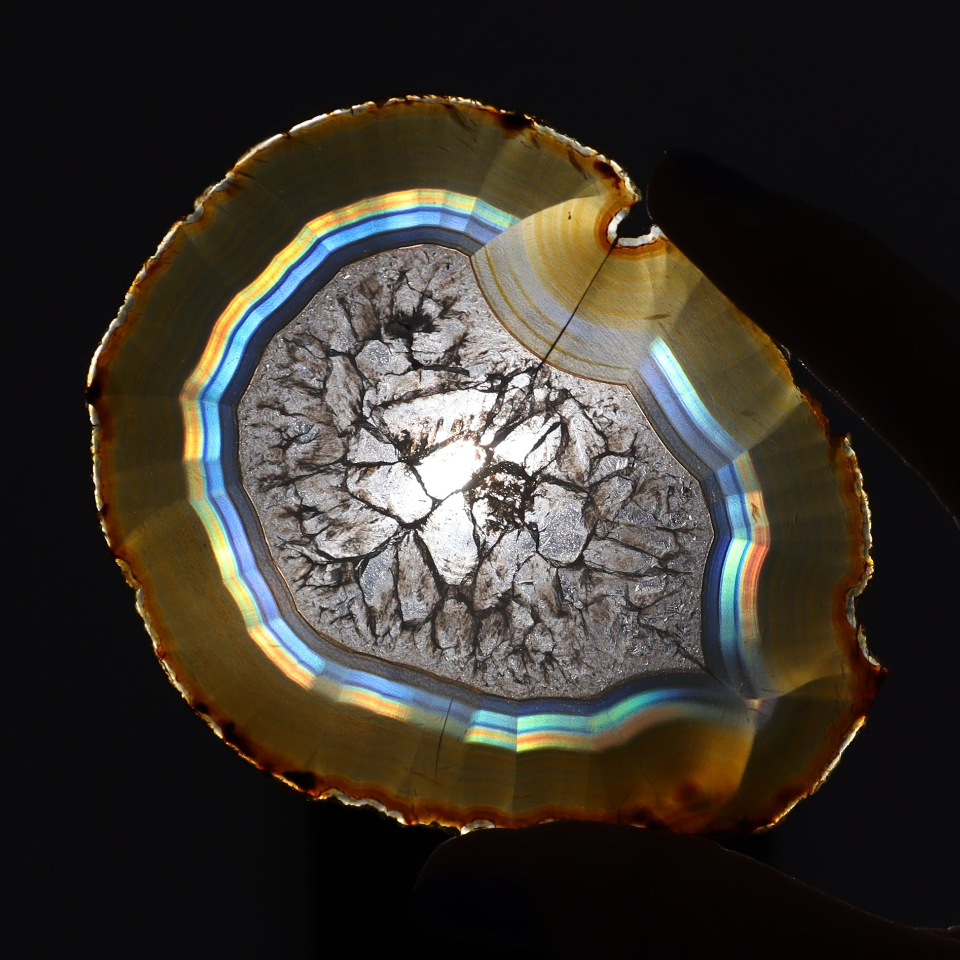 Iris Agate Slices Set of 5 - Expert Wholesale and Supplier of Wholesale Crystals & Bulk Gemstones, ["Agate","Iris Agate","Slices and Slabs"]