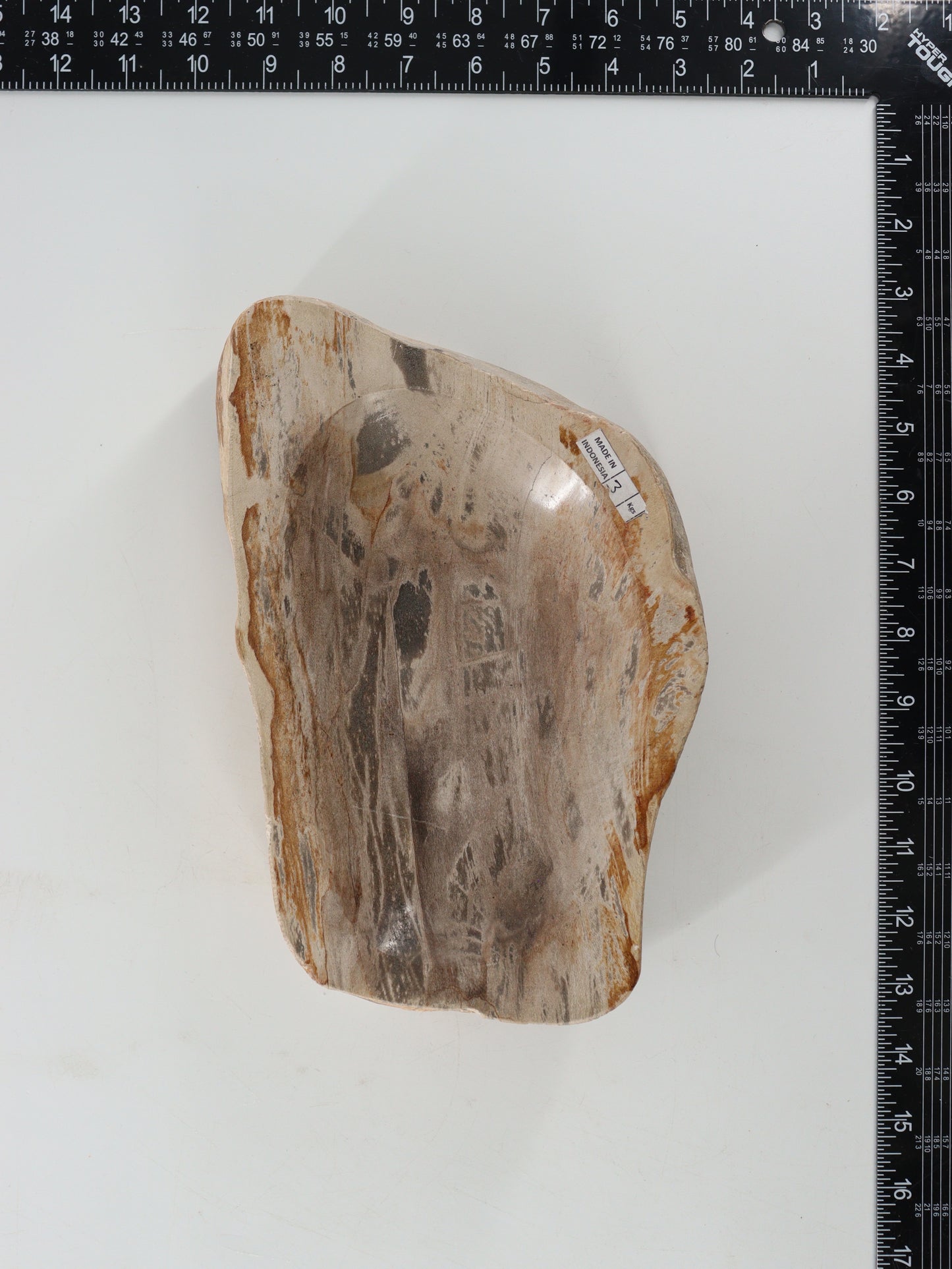 Petrified Wood Bowl