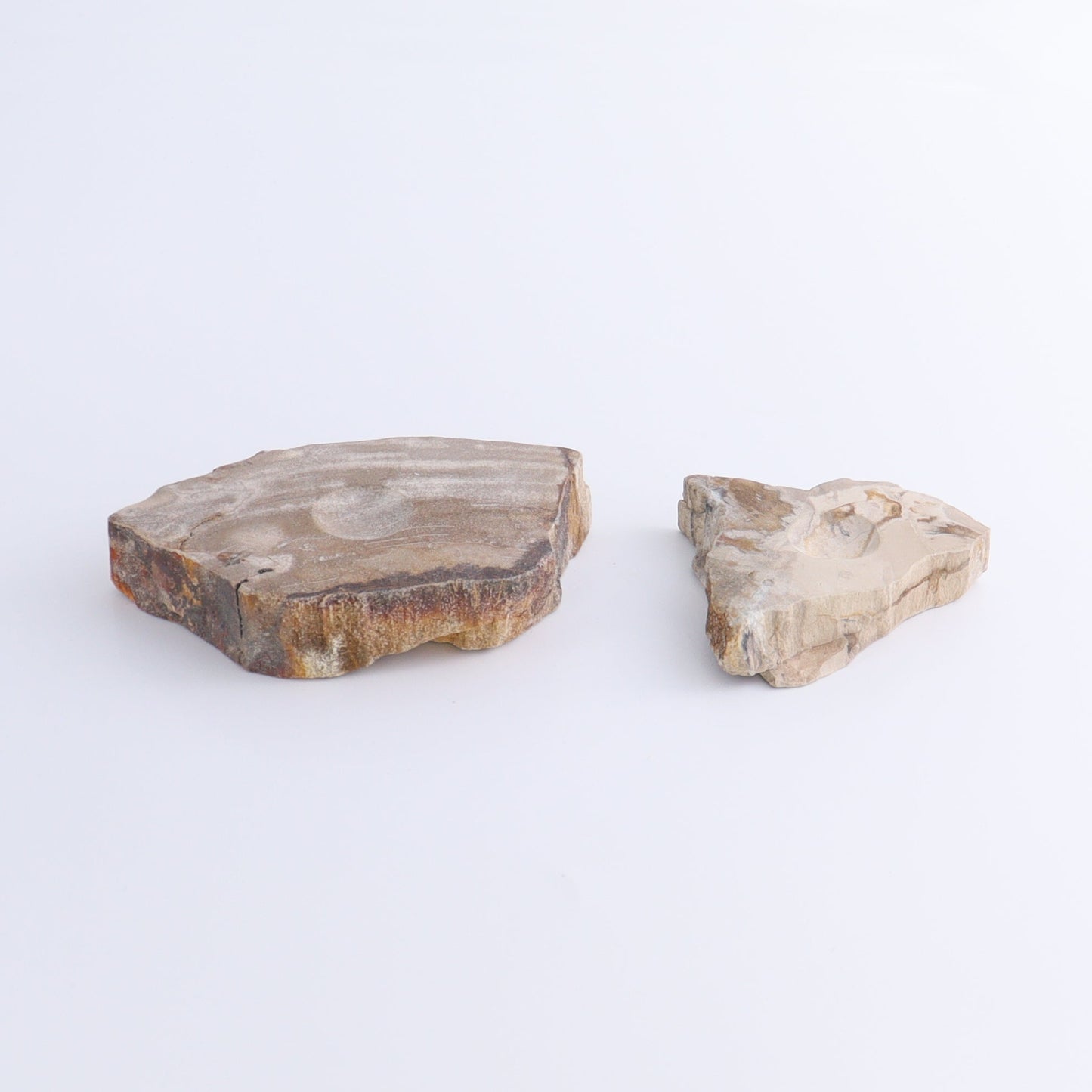 Petrified Wood Sphere Holders Set of 5 - Expert Wholesale and Supplier of Wholesale Crystals & Bulk Gemstones, ["Petrified Wood","sphere holder"]