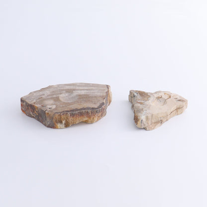 Petrified Wood Sphere Holders Set of 5 - Expert Wholesale and Supplier of Wholesale Crystals & Bulk Gemstones, ["Petrified Wood","sphere holder"]