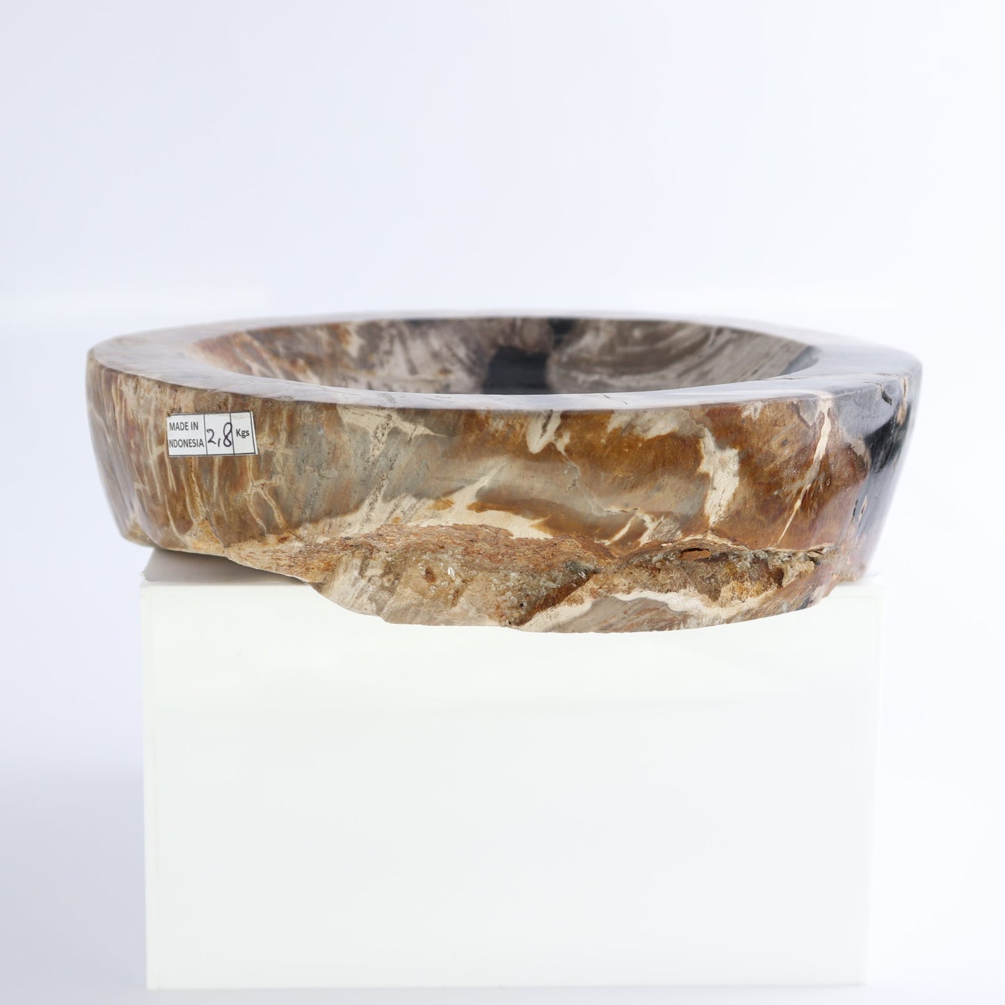One Petrified Wood Black & Beige Polished Bowl