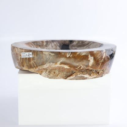 One Petrified Wood Black & Beige Polished Bowl