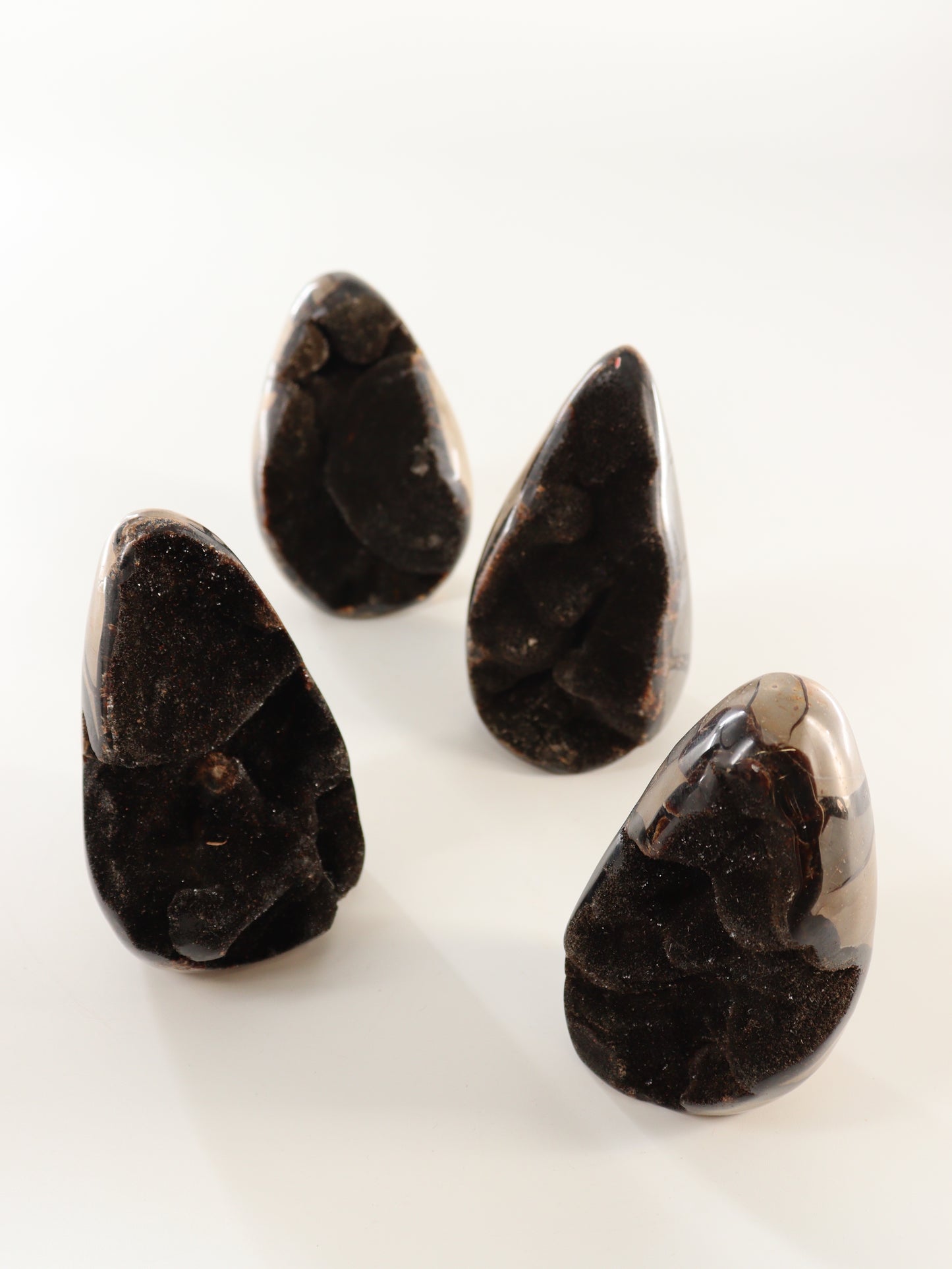 Septarian Cut Bases Set of 4 - Expert Wholesale and Supplier of Wholesale Crystals & Bulk Gemstones, []
