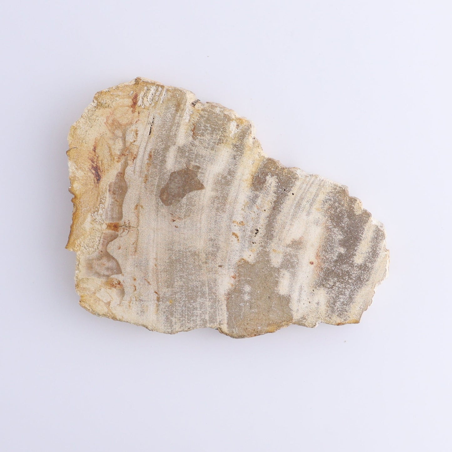 Petrified Wood Slices & Slabs Set of 5 - Expert Wholesale and Supplier of Wholesale Crystals & Bulk Gemstones, ["Freeforms","Indonesia","Petrified Wood","Slices and Slabs"]