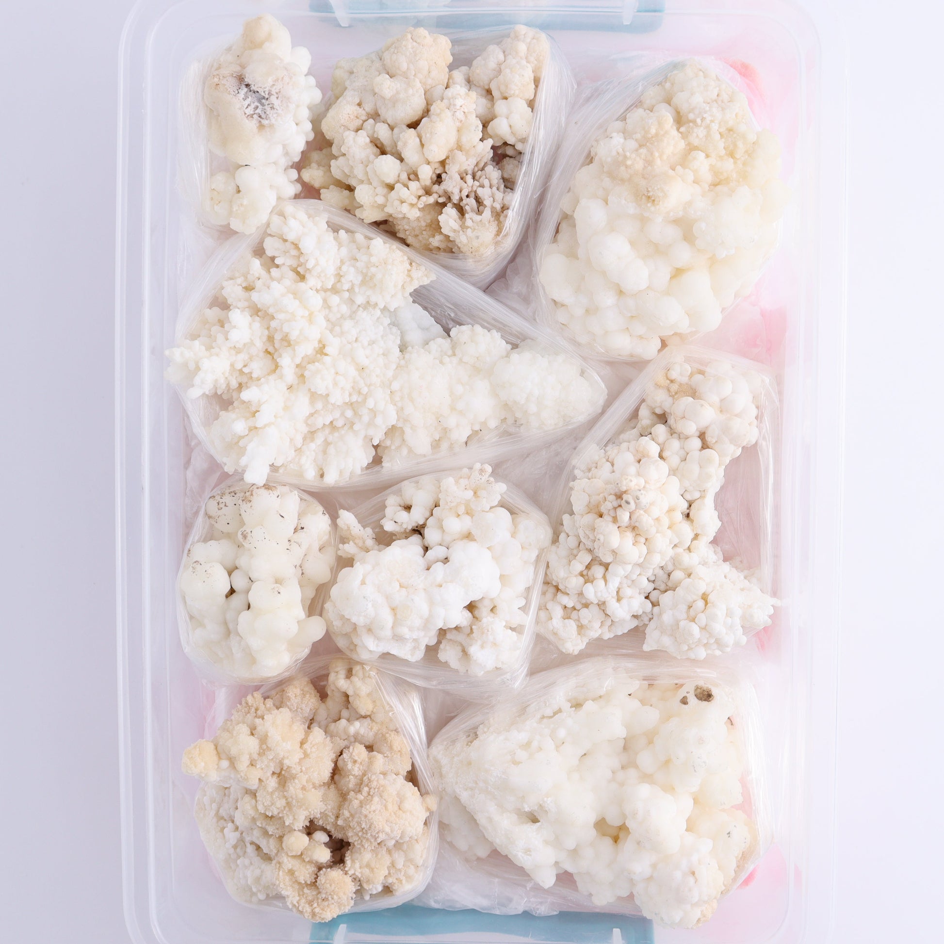 Calcite Aragnotie Flat from Morocco - Expert Wholesale and Supplier of Wholesale Crystals & Bulk Gemstones, ["aragonite","Calcite","Flats","Morocco"]