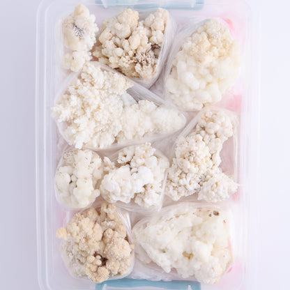 Calcite Aragnotie Flat from Morocco - Expert Wholesale and Supplier of Wholesale Crystals & Bulk Gemstones, ["aragonite","Calcite","Flats","Morocco"]
