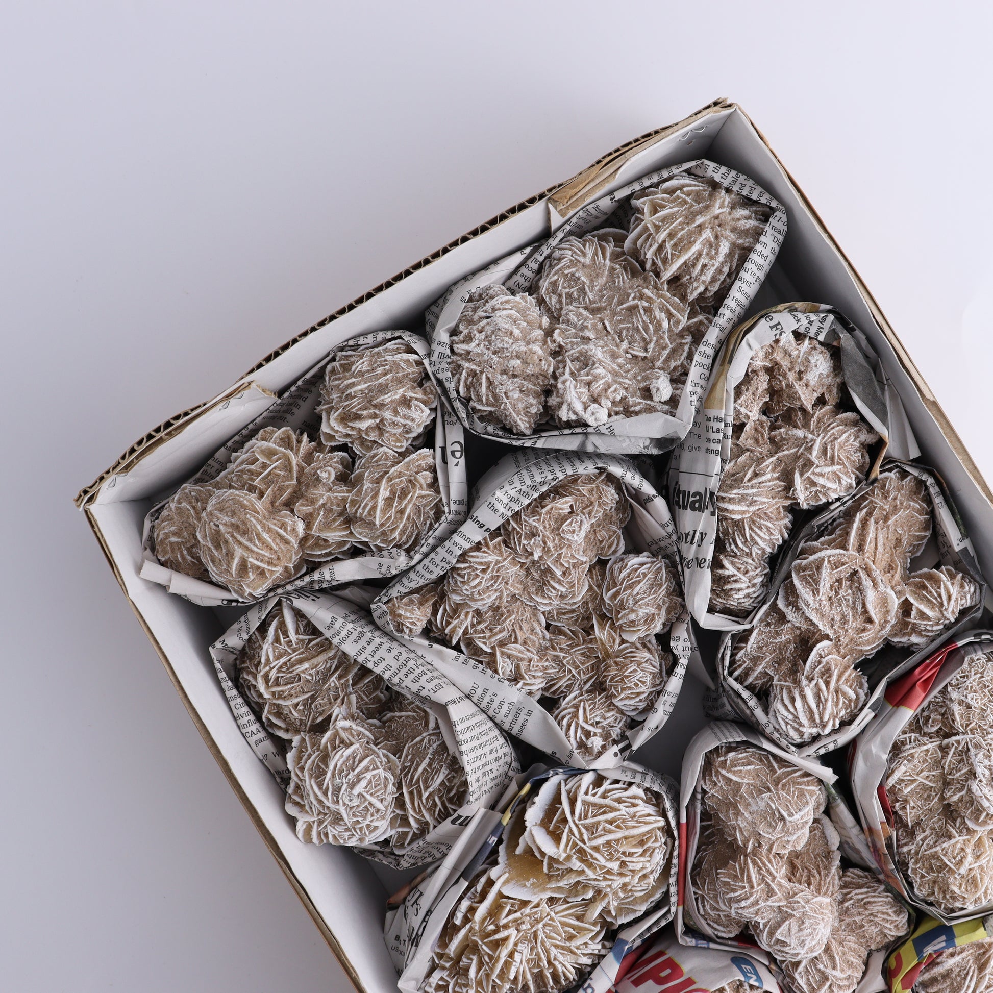 Desert Rose Set of 12 - Expert Wholesale and Supplier of Wholesale Crystals & Bulk Gemstones, ["Desert Rose","Freeforms","Morocco"]