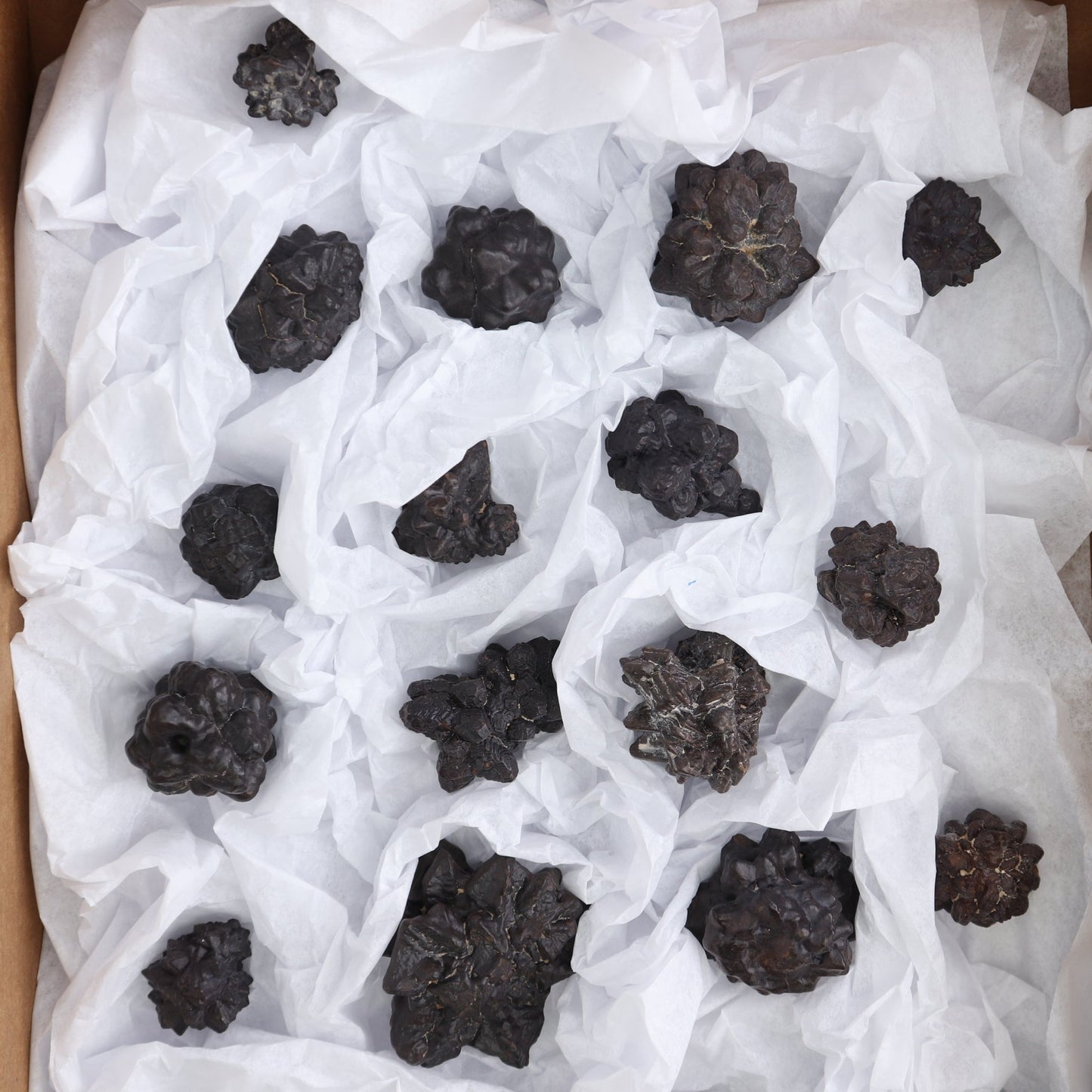 Egyptian Prophecy Stones Flat of 20