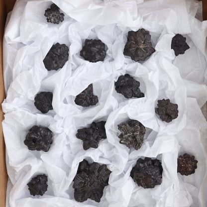 Egyptian Prophecy Stones Flat of 20