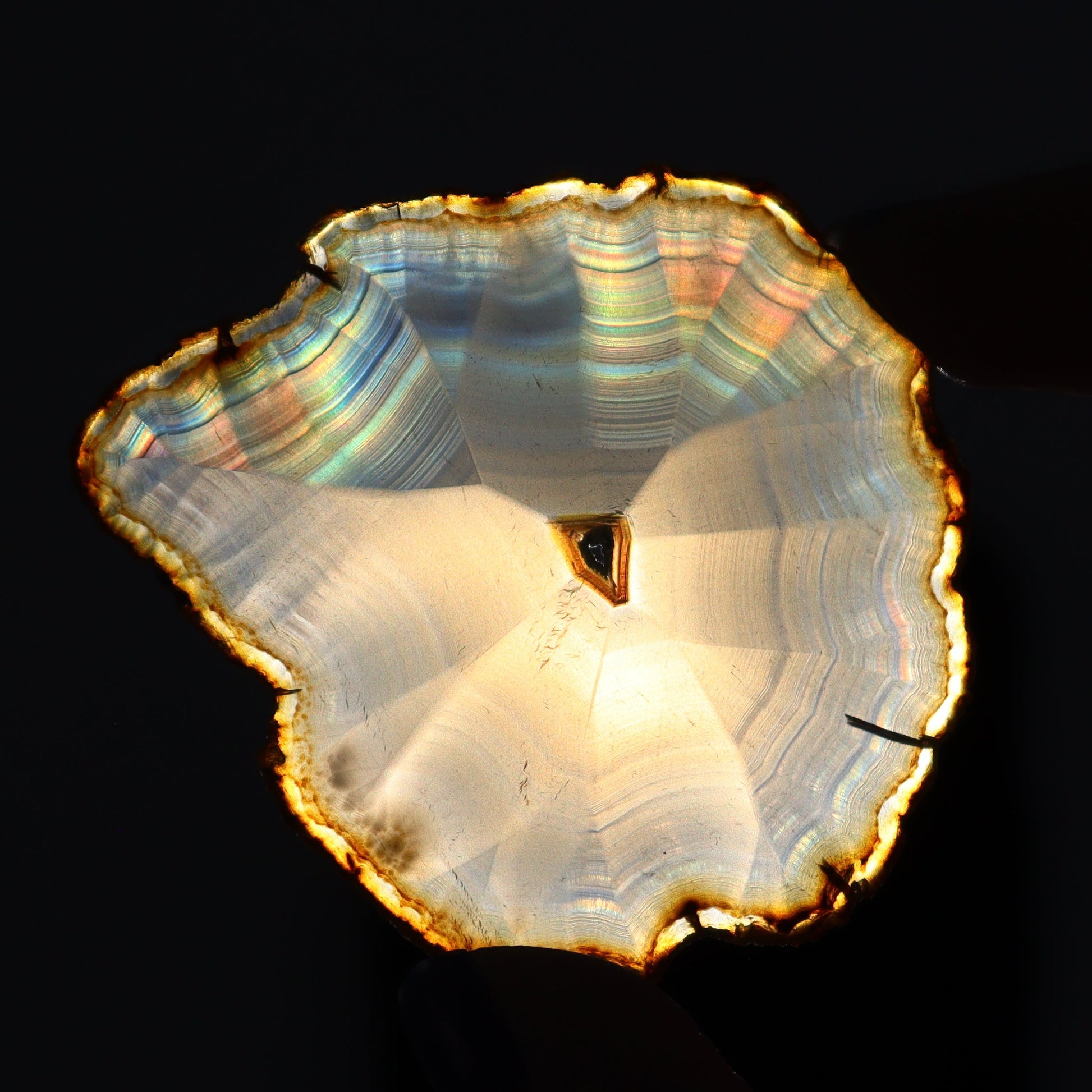 Iris Agate Slices Set of 7 - Expert Wholesale and Supplier of Wholesale Crystals & Bulk Gemstones, ["Agate","Iris Agate","Slices and Slabs"]
