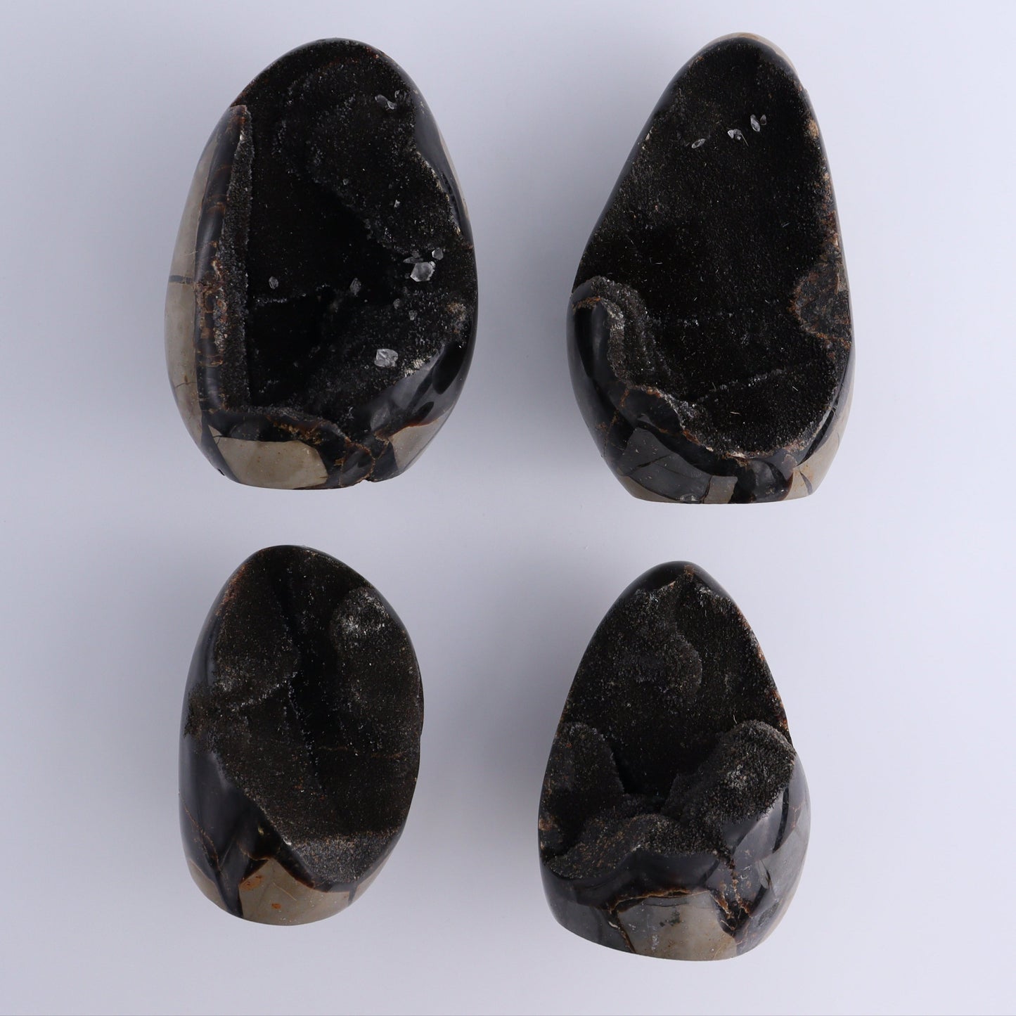 Septarian Cut Bases Set of 4 - Expert Wholesale and Supplier of Wholesale Crystals & Bulk Gemstones, ["Cut Base","Septarian"]
