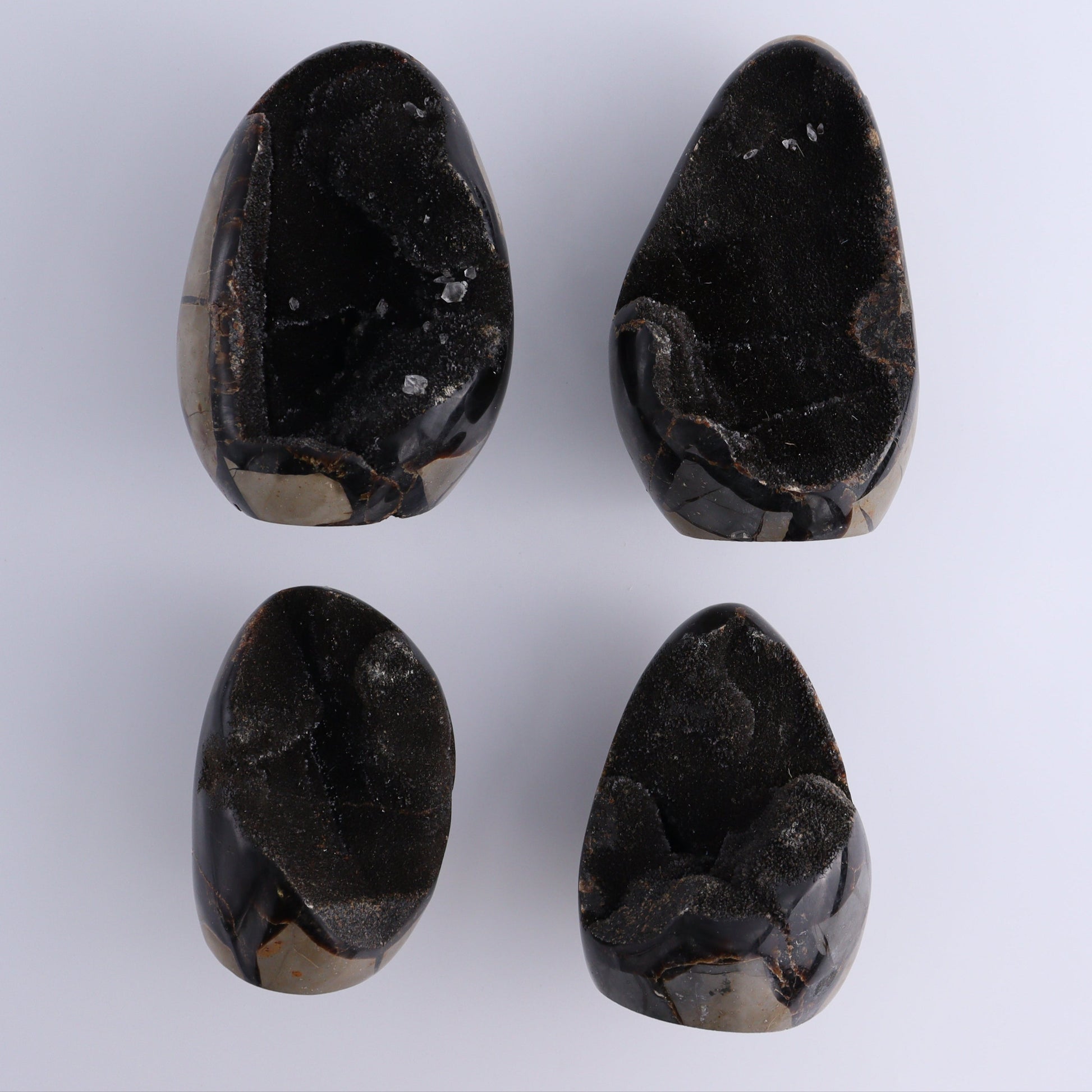 Septarian Cut Bases Set of 4 - Expert Wholesale and Supplier of Wholesale Crystals & Bulk Gemstones, ["Cut Base","Septarian"]
